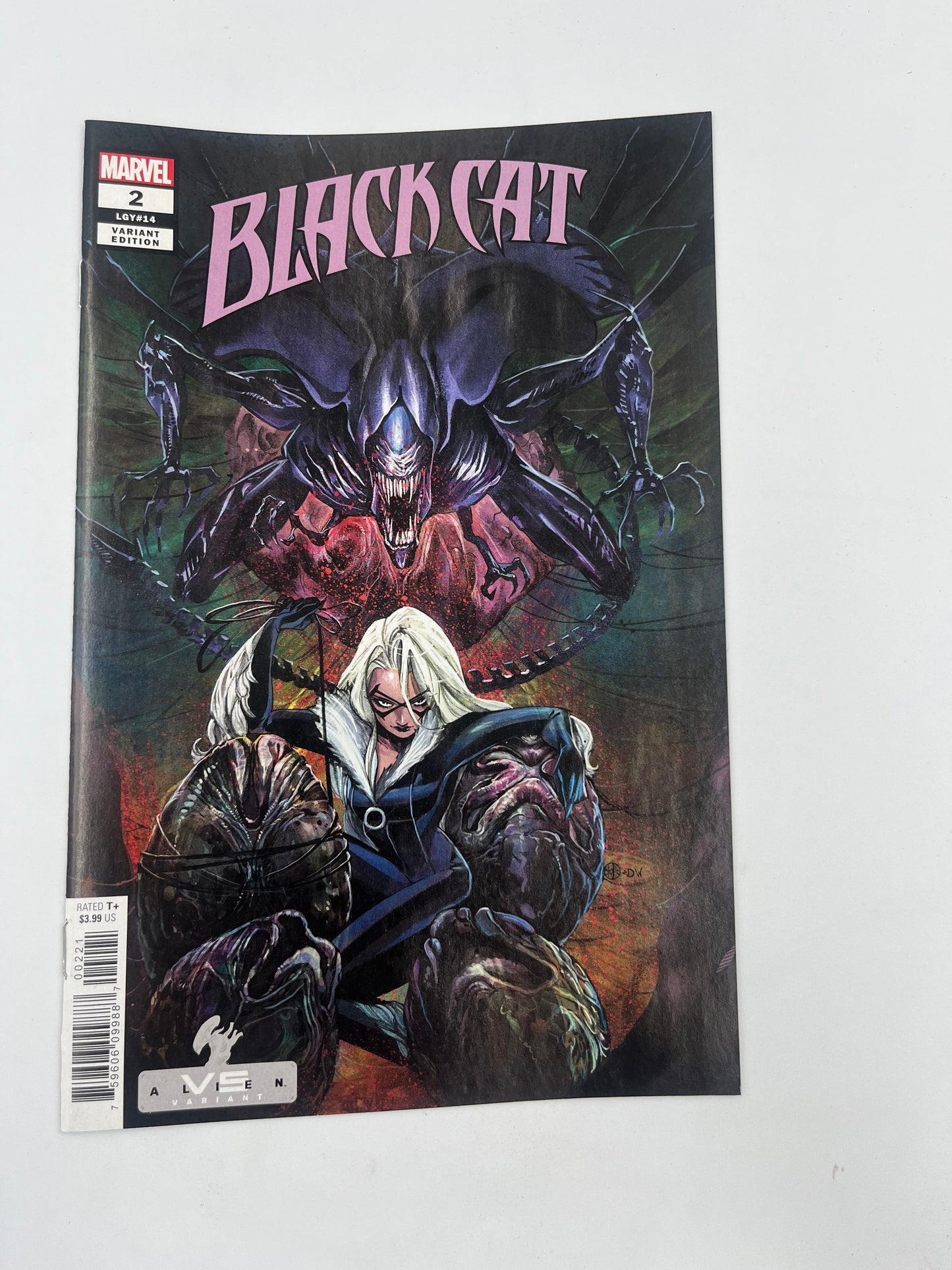 Black cat #2