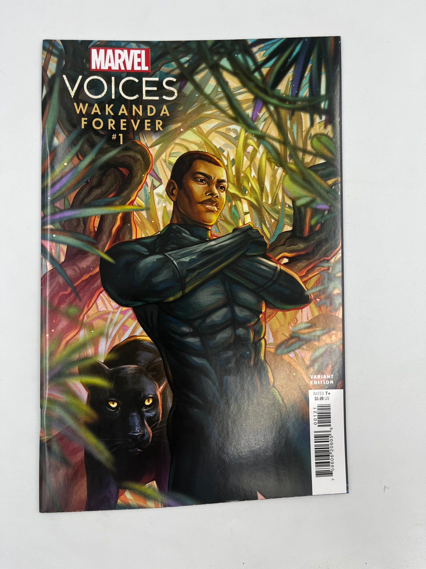 Marvels Voices Wakanda Forever #1
