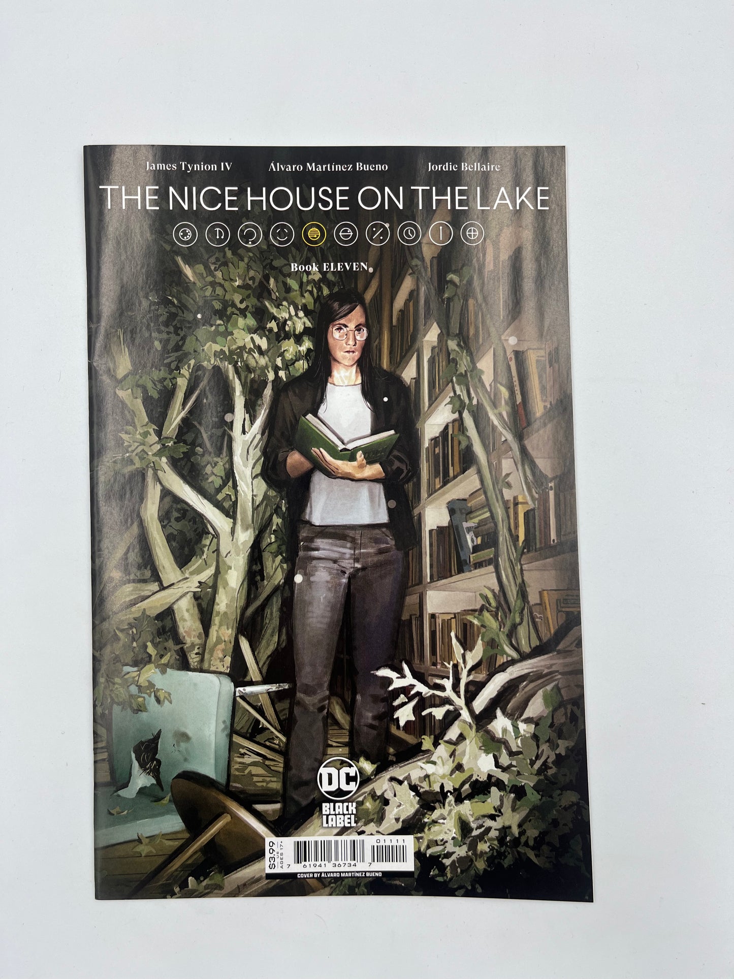 The nice house on the lake #11