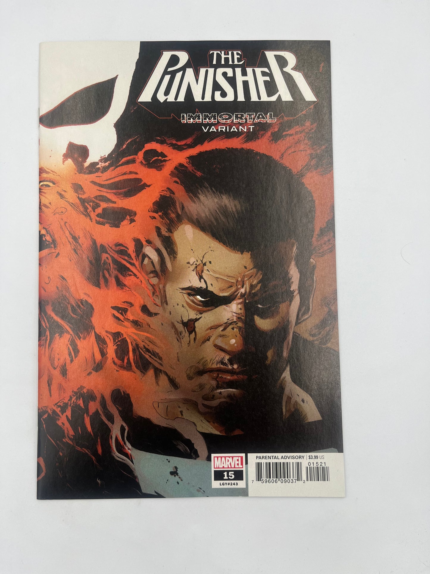 Punisher #15