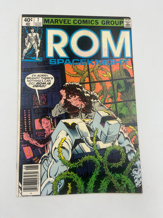 Rom #7