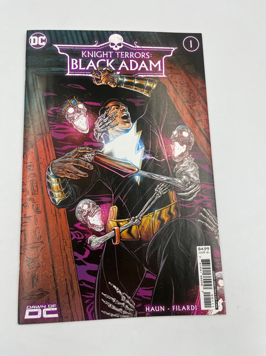 Knight Terrors Black Adam #1