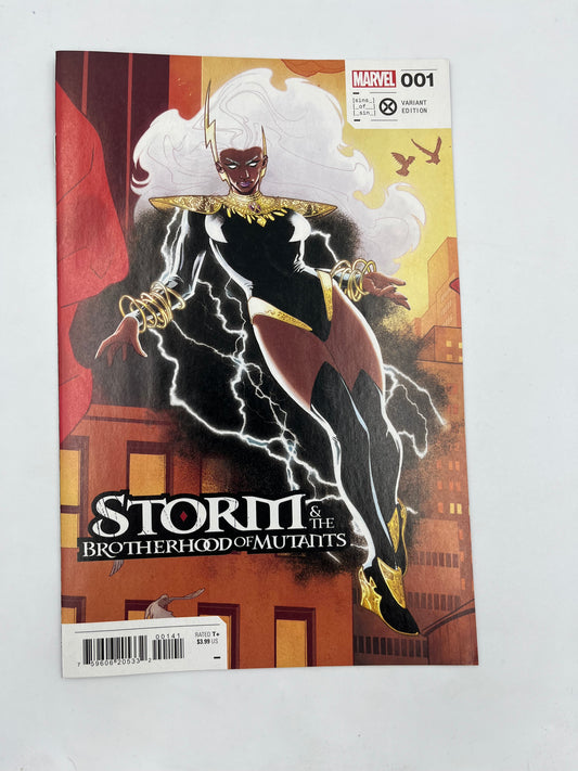 Storm and the brotherhood of mutants #1