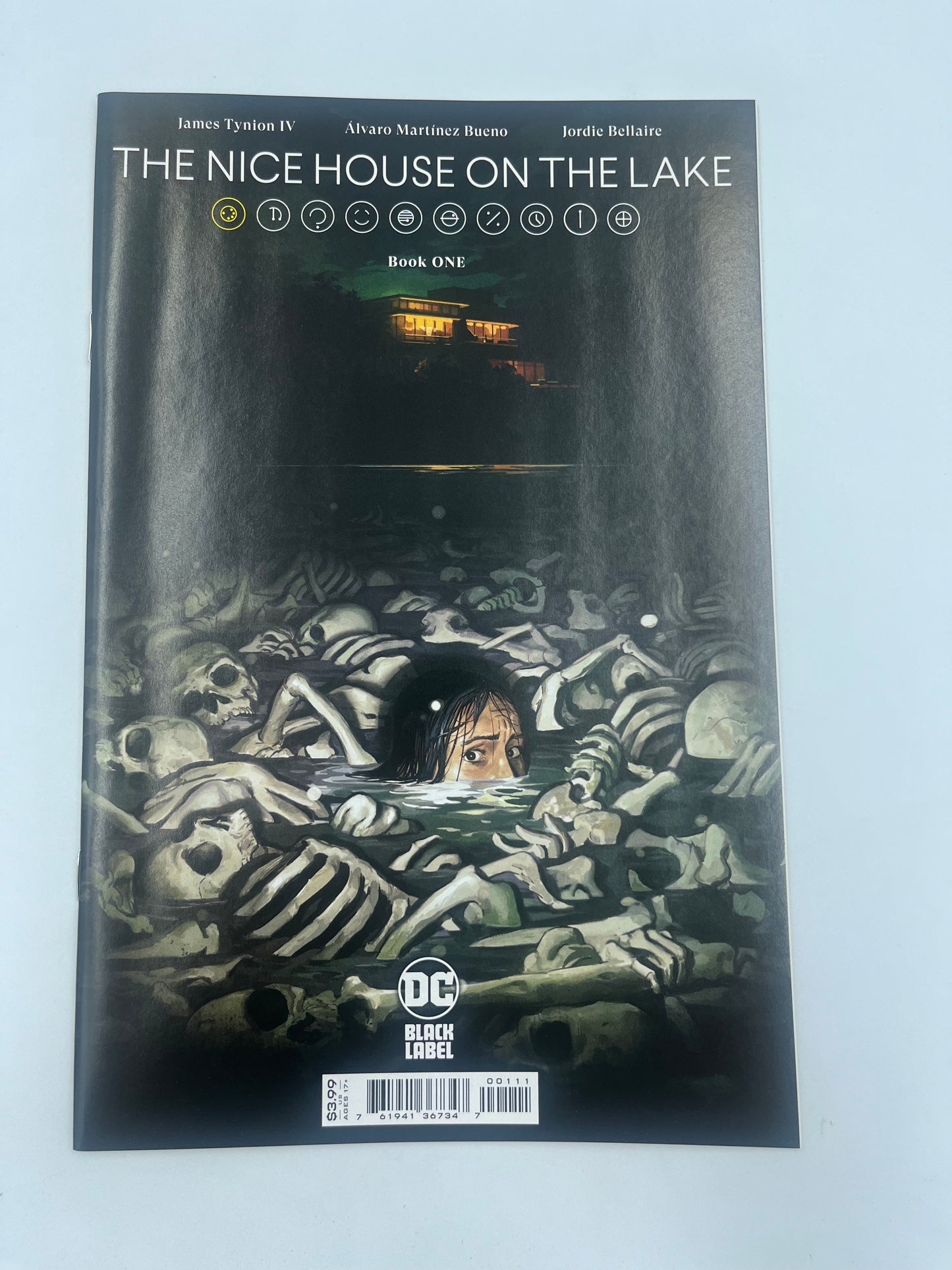 The Nice house on the lake #1