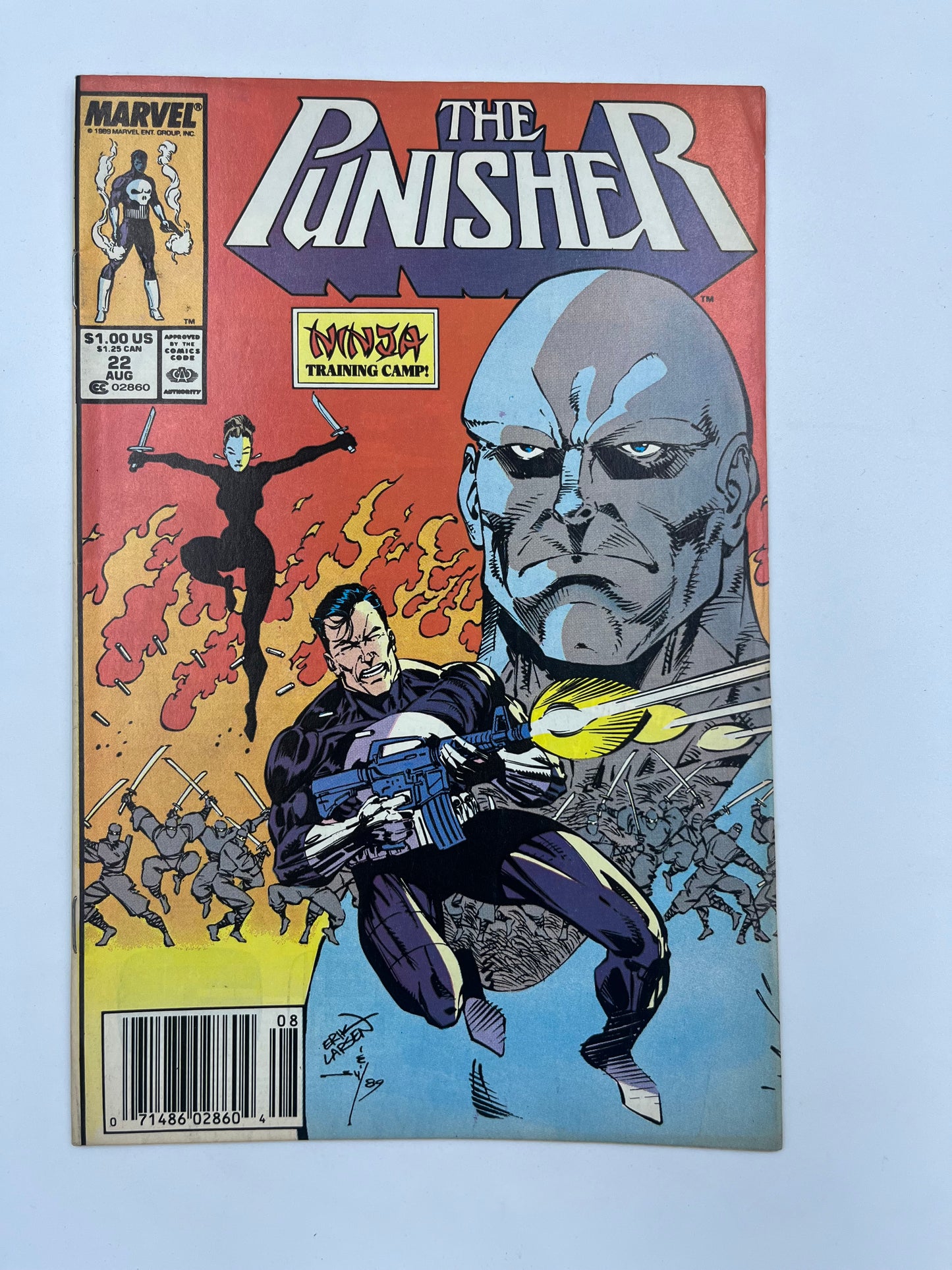 Punisher #22
