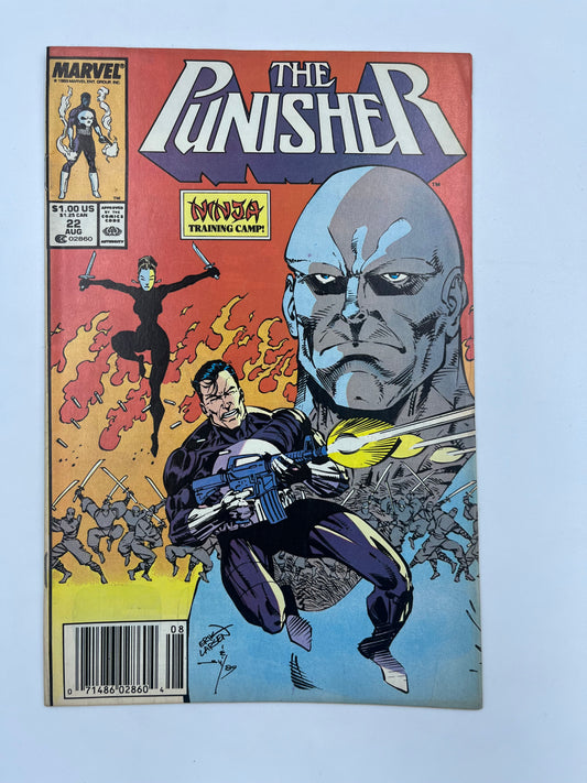 Punisher #22