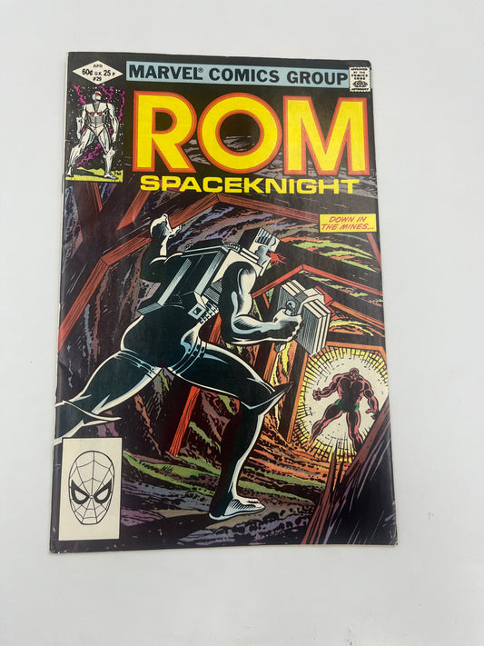 Rom #29