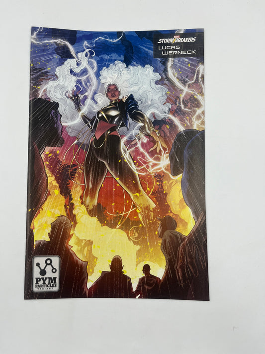 Storm the brotherhood of mutants #1 (1:25)