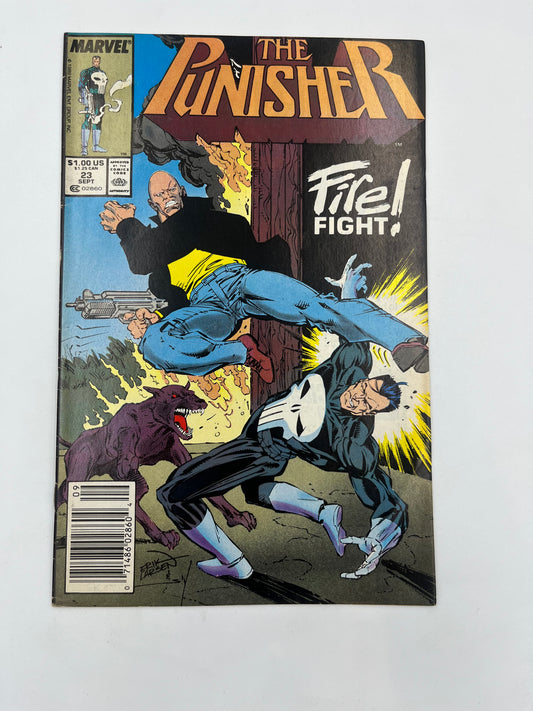 The Punisher #23