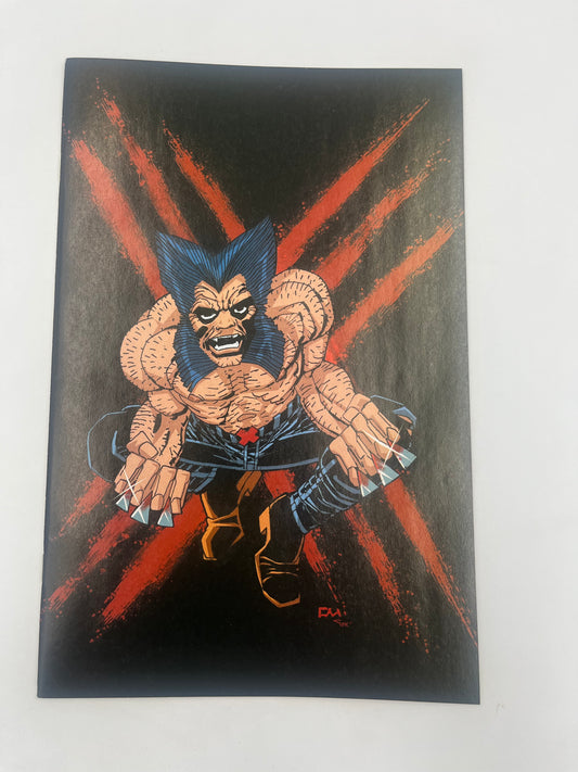 Ghost rider Wolverine Weapons of Vengeance #1 (1:50)