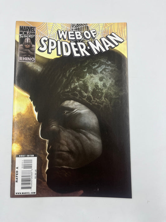 Web Of Spider-man #3