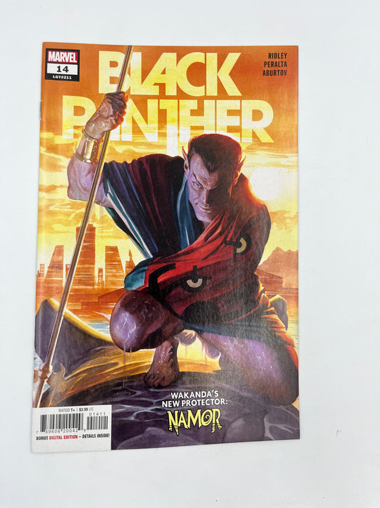 Black Panther #14
