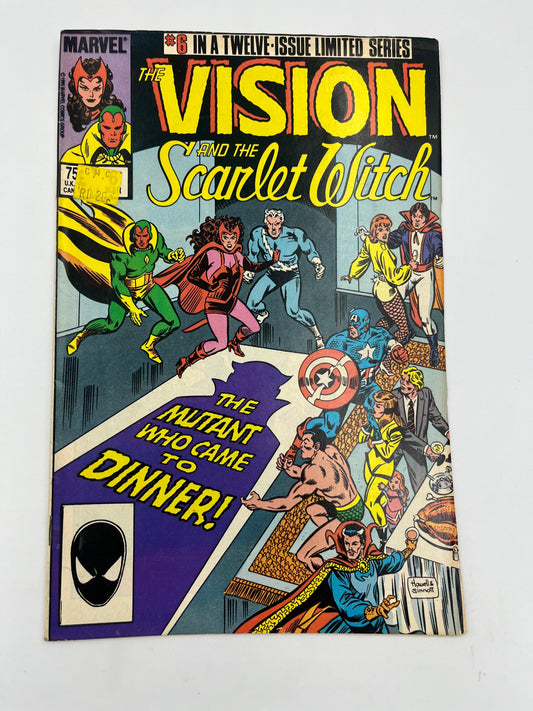 The Vision and Scarlet Witch #6