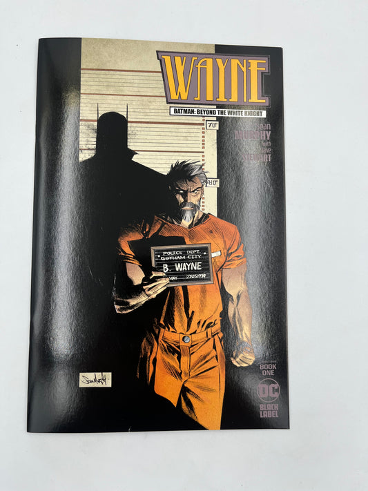 Wayne Batman Beyond the white knight #1