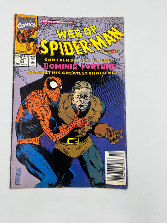 Web Of Spider-man #71