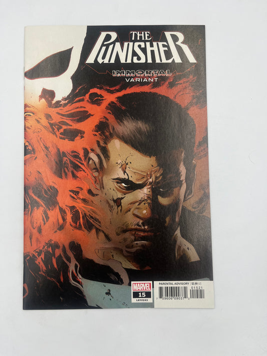 Punisher #15