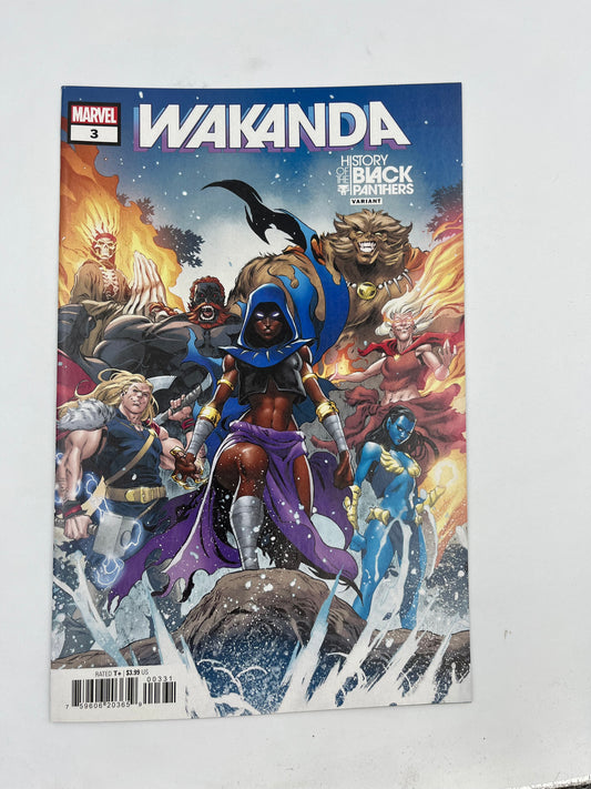 Wakanda #3