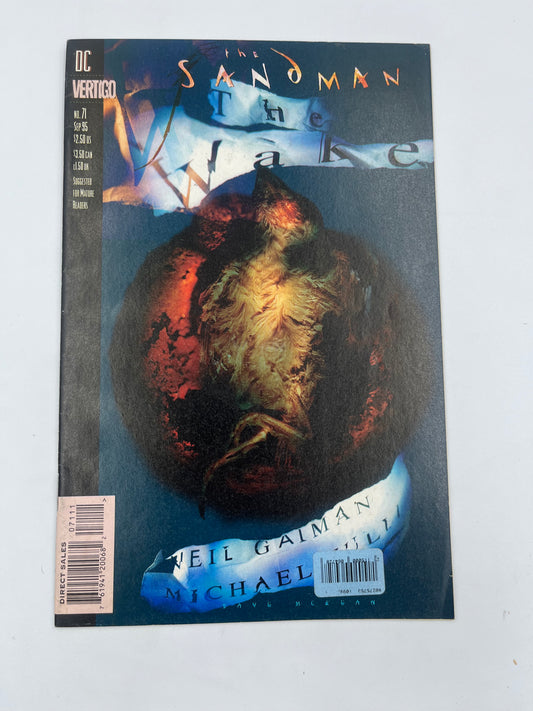 Sandman #71