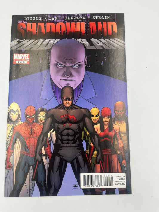 Shadowland #2