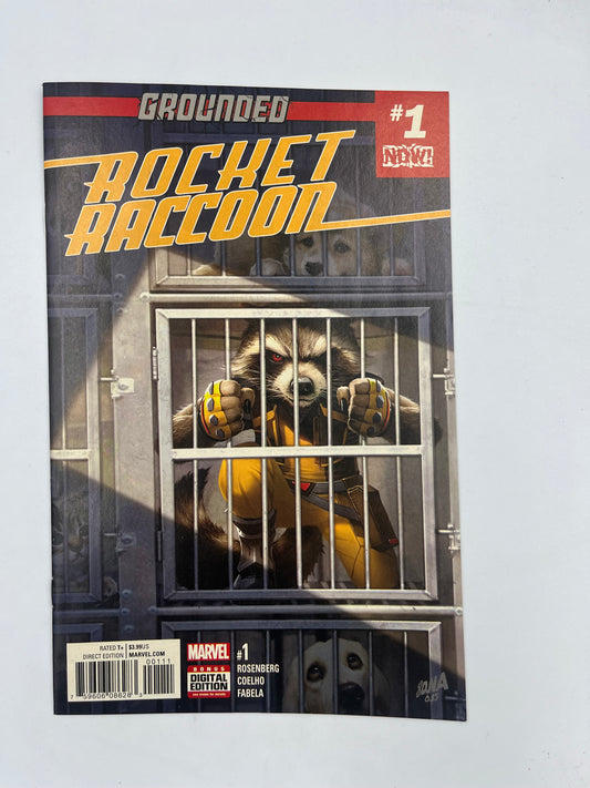 Rocket Racoon #1