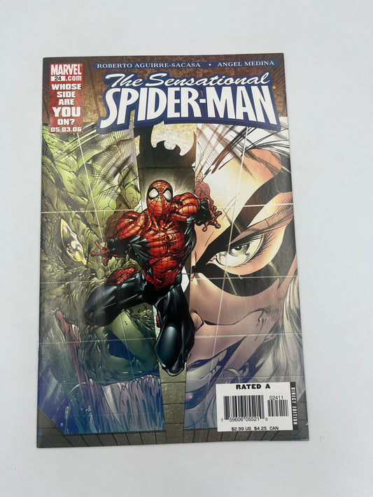 The Sensational Spider-man #24