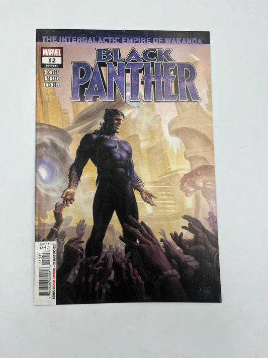 Black Panther #12