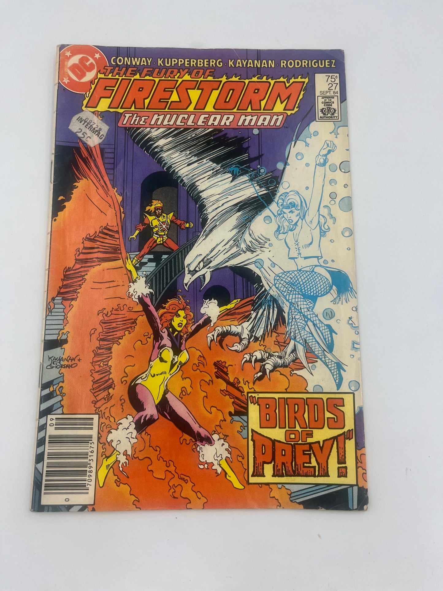 Fury of firestorm #27