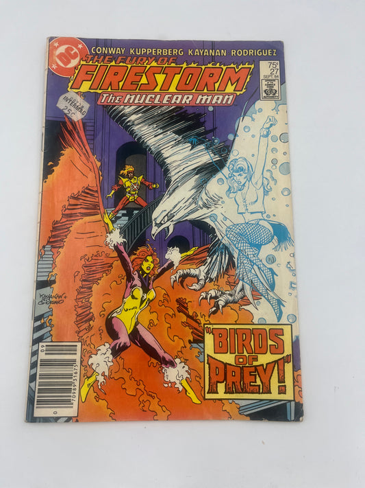 Fury of firestorm #27