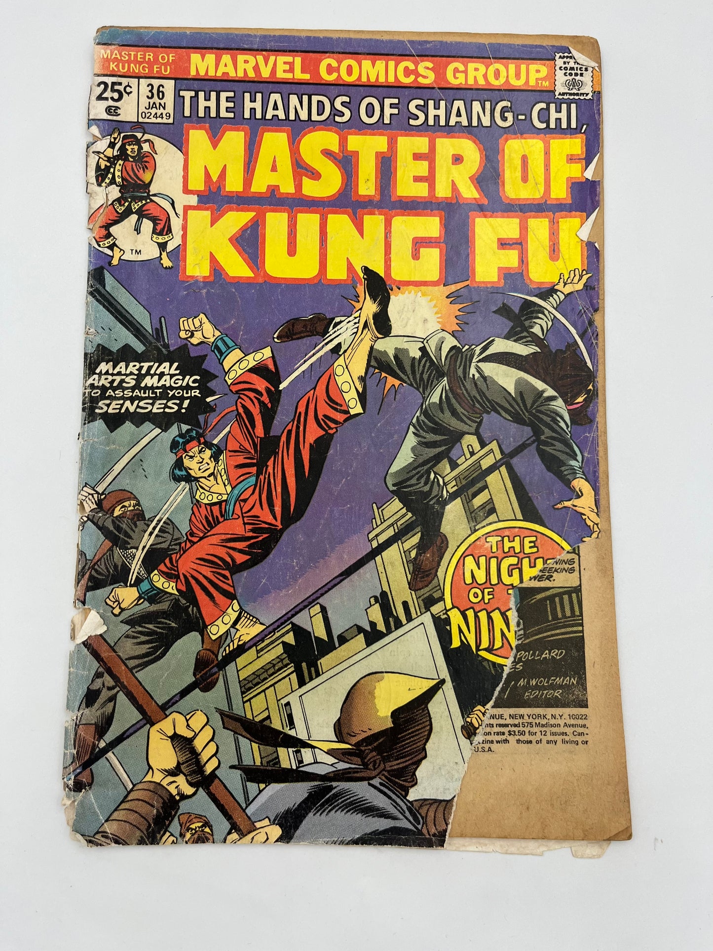 Master of Kung Fu #36