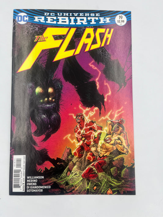 The Flash #19